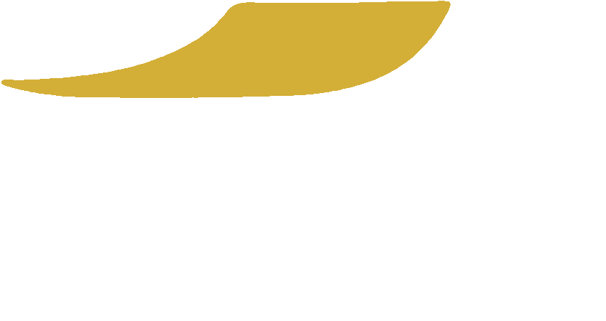 FUTSKILLED